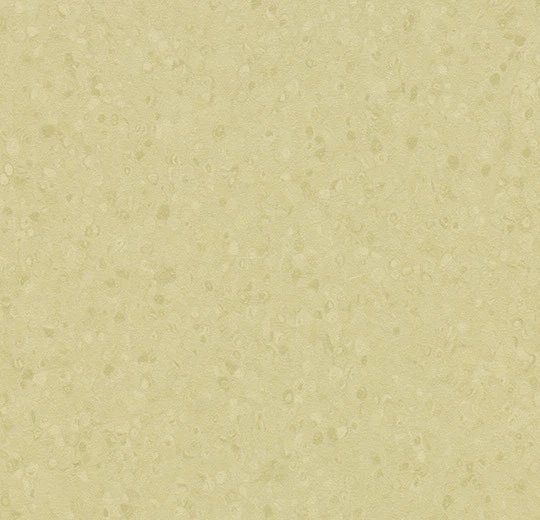 3830e80677a0a82ce07f36558a117ce7