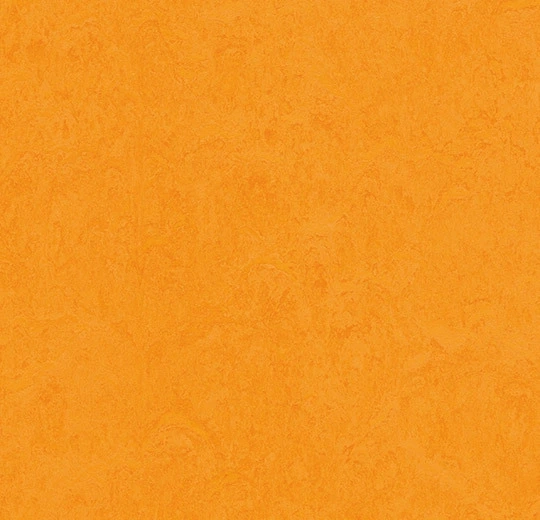 d58c254accc3052eafaa4fd38926c392