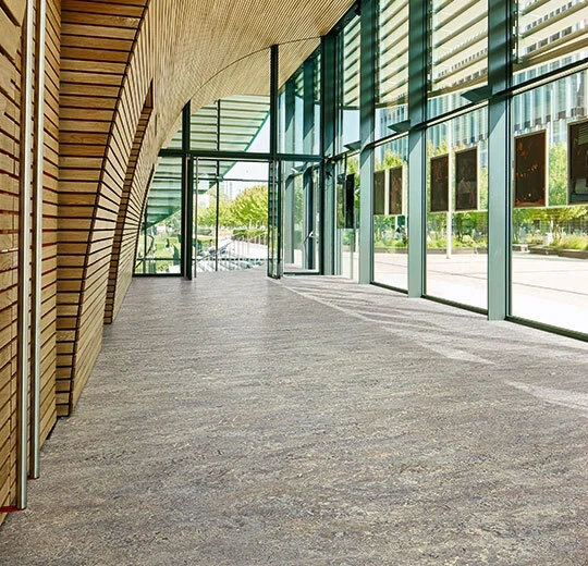 34641be9705d29e5157aaf817c6aea1e