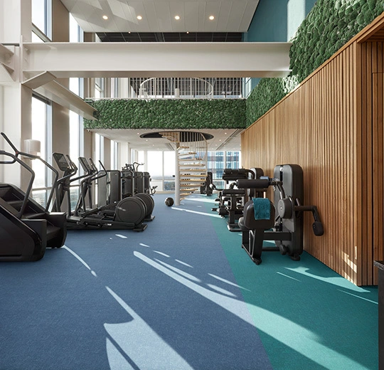 cdcd55bd4542c3c05242d1359337983a