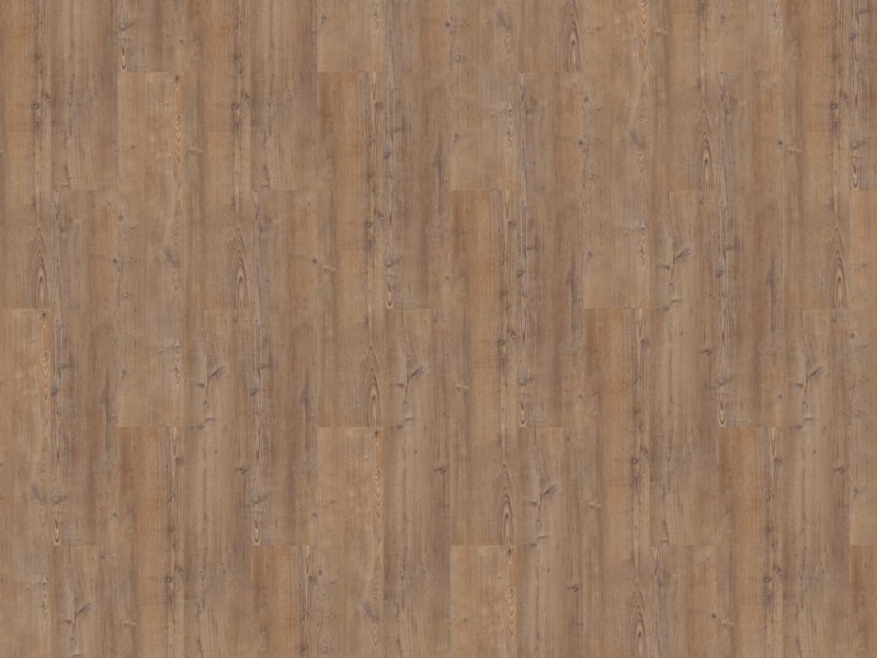 8c97bf6258ef8af1a765a4fa38b88aa7