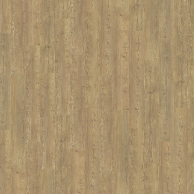 c2f5a08c37fd79a9e0b4e8750712e81b