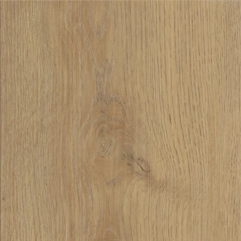 3491115912dbdd9f9fa4d4b3513c8386