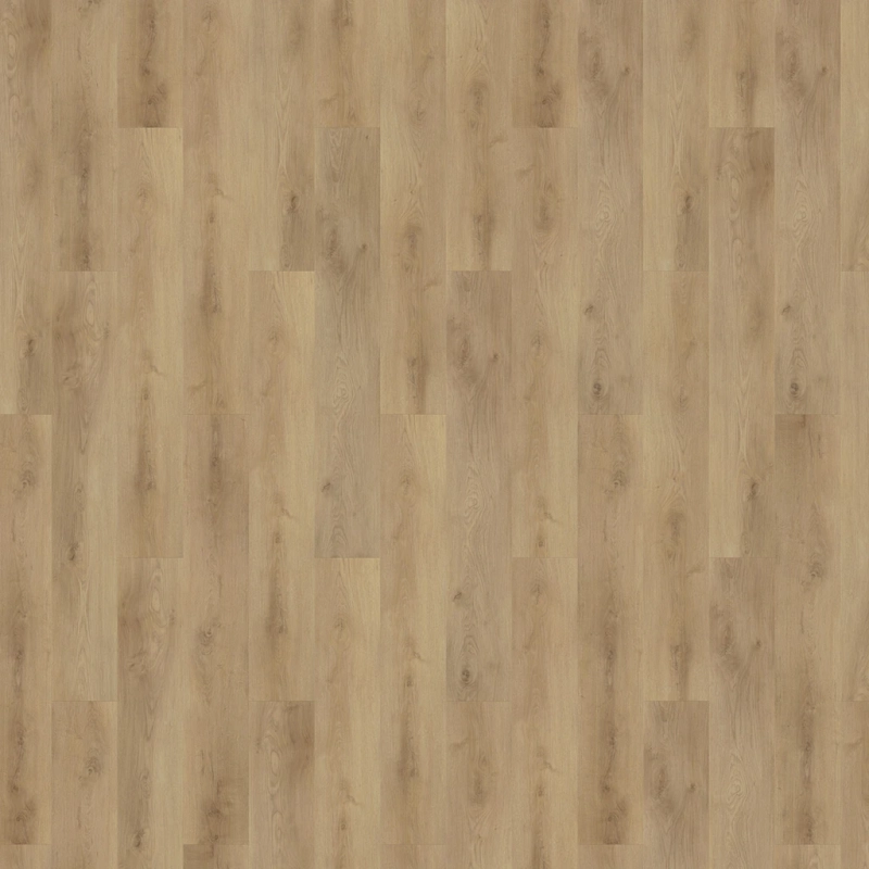 9d432346a0e14bd10a0c91831b1e414f