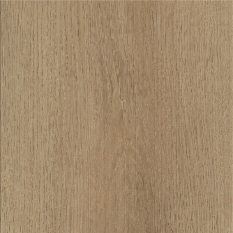 5c645ab5f3fac98dda546f21e0e7e544