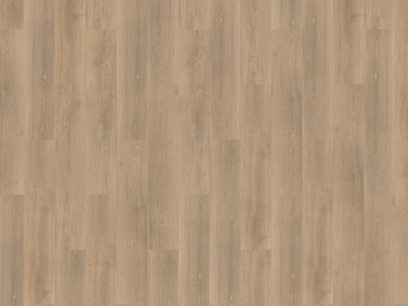 f40add5c2054839ee4543c9477bfe8e5