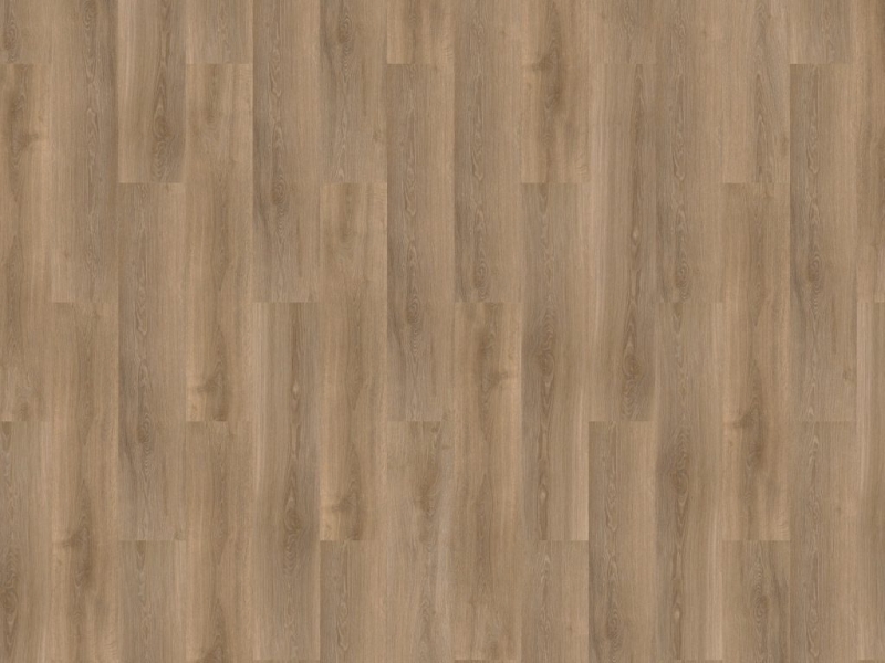 a604a8ba890be7d0579b0225f5073658