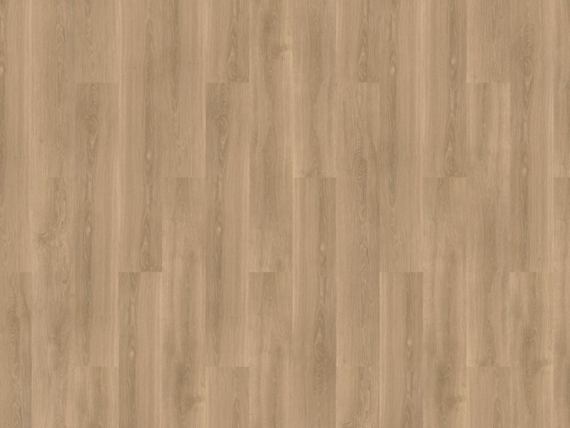 355589667a0e00c8221f8c8d39264ba1