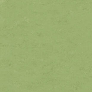 Wykładzina linoleum Tarkett™ 1805754 Veneto Essenza (2.5 Mm) Veneto Apple Green 754 - Rolka