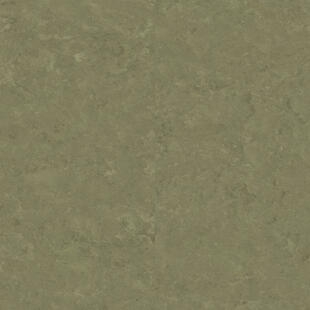 Wykładzina linoleum Tarkett™ 1805757 Veneto Essenza (2.5 Mm) Veneto Khaki 757 - Rolka