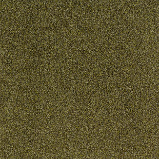 ba443566d209bbee4597032b02b58c31