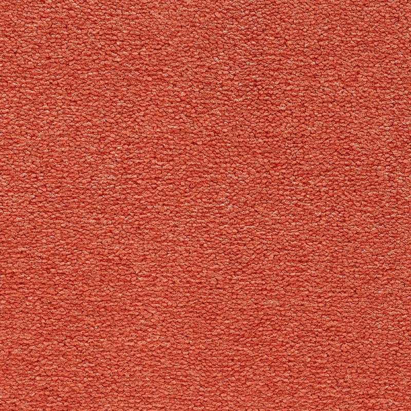 019d93e4c31c3fb13e9d287698d6c1fe