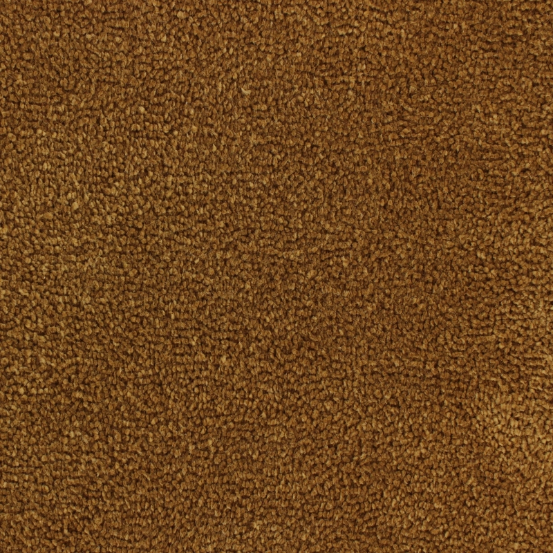 b7fc05fa7501507ee5a91892934e11c2