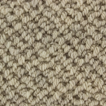 Wykładzina dywanowa EDEL Rya 119 Pumice - Rolka - 400 cm