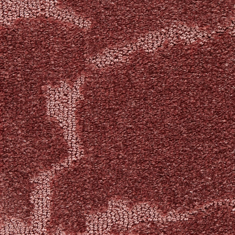 ba1ebee010884e96252d65099134e1a3