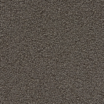 Wykładzina dywanowa EDEL Aeon 143 Loam - Rolka - 400 cm