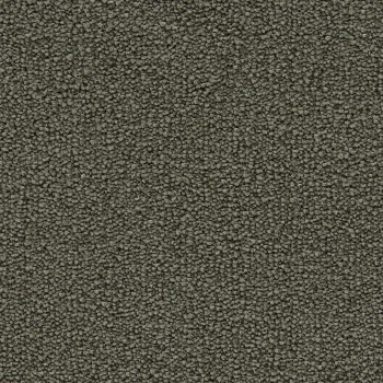 Wykładzina dywanowa EDEL Aeon 164 Olive - Rolka - 400 cm