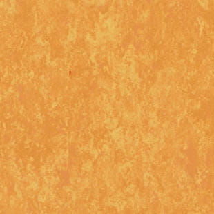 Tarkett™ 1863628 Veneto Sicuro Xf2™ R10  Sunflower 2,5 mm Wykładziny linoleum (Rolka)