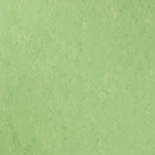 Tarkett™ 1863754 Veneto Sicuro Xf2™ R10  Apple Green 2,5 mm Wykładziny linoleum (Rolka)