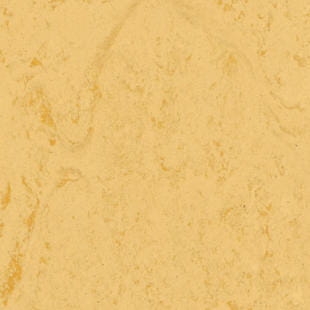 Tarkett™ 14898612 Veneto Xf2™ Bfl (2.5  mm) Corn 2,5 mm Wykładziny linoleum (Rolka)