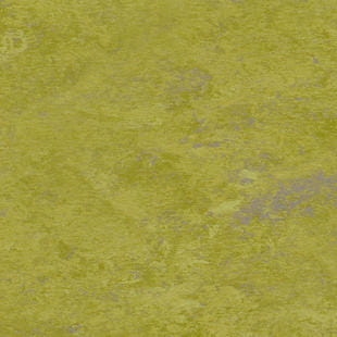 Wykładzina linoleum Tarkett™ 14898695 Veneto Xf2™ Bfl (2.5 Mm) Veneto Absinthe 695 - Rolka