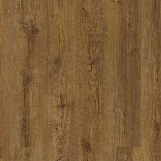 e407fbba88cea26a5612e20d8d25e4c6