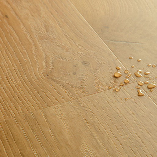 3e5a19823a968d70edcd3e73841e6393