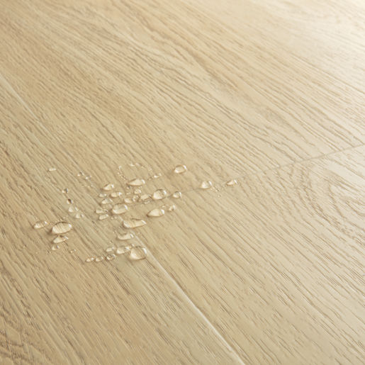 e2df8bc6552ca9b36a329fef06fff42c