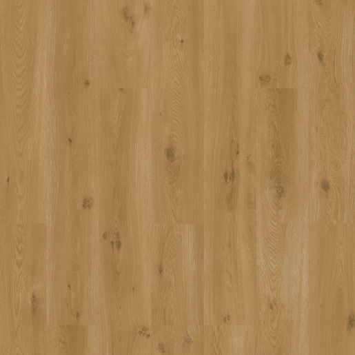 6e01624038ba7b5835614f03c6eaee54