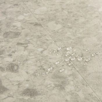 Panele winylowe Quick-Step SGTC20306 Blush Ceppo ciepłoszary - Panel - 609.6 mm - 609.6 mm - 2.5 mm