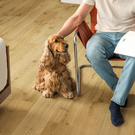 9112673699c5721678d1b13b53843222