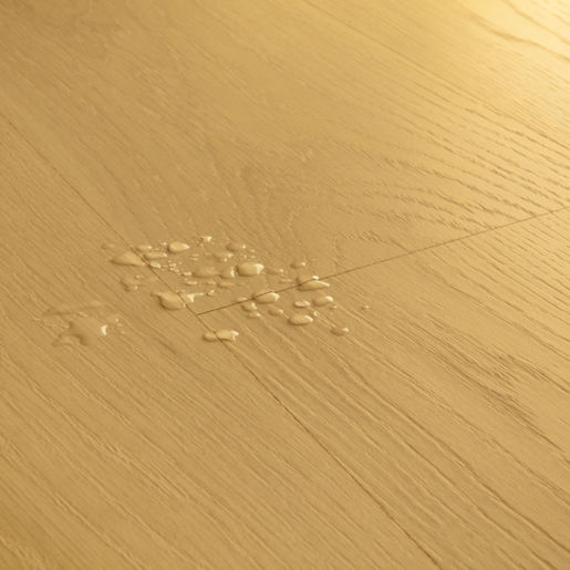 3864994ac58db30d51af7454995119b3