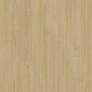 e5509167307b5e8cb9ef0c6302c3ea6d