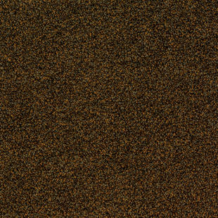 c34ba37ecb757a560131bdb1126f0049