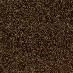 2058fcf9874f6eb4debe4fade74f5d6b