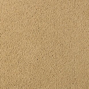 145c9faf6b6d4544c61a22bf6e17a45d
