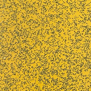 Wykładzina PVC Tarkett™ 26530320 Universal Bus Yellow - Rolka - 20 m - 2 m