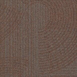 8757e1d02861437b2370256a38e8bedc