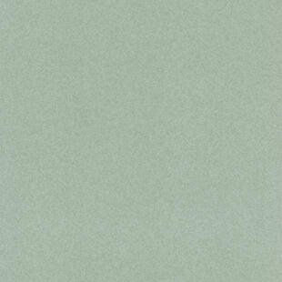 Wykładzina PVC Tarkett™ 200231003 Terra Terra 2,00 T 4 1I - Rolka - 25 m - 2 m