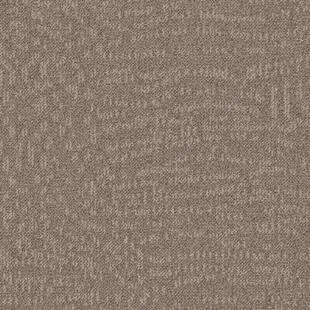 Wykładzina dywanowa Tarkett™ 712387006 Evolve Desso Evolve Ad99 2937-V B8 50X50 - Płytka - 500 mm - 500 mm