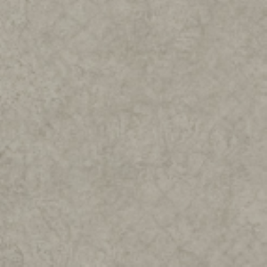 Expona Simplay Stone 2586 Light Grey  Ornamental