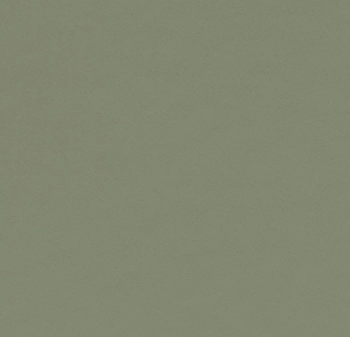 Wykładzina linoleum FORBO 4184 Olive Furniture Linoleum - Rolka - 2  mm