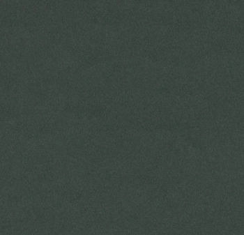 Wykładzina linoleum FORBO 4174 Conifer Furniture Linoleum - Rolka - 2  mm
