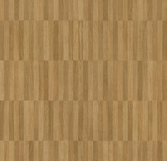 309ef82fa54e4c6a79b7c6ff5aa1b809