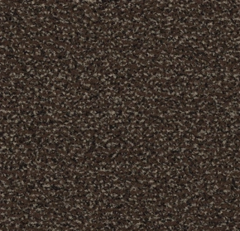 Mata wejściowa FORBO 4784FR Coral Classic FR coffee Coral FR - Rolka - 8  mm