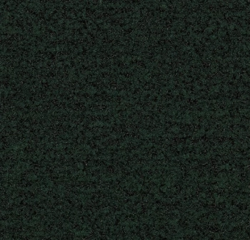 Mata wejściowa FORBO 5288FR Coral Brush FR racing green Coral FR - Rolka - 9  mm