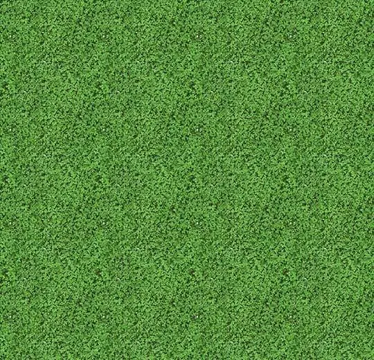 2e4aedbbeb7cf8e7a2c2e860561e4643