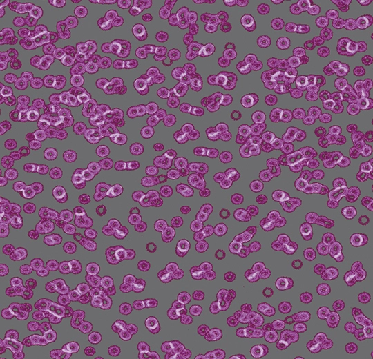 d545b6aedff04cd0ce406271d4555d13