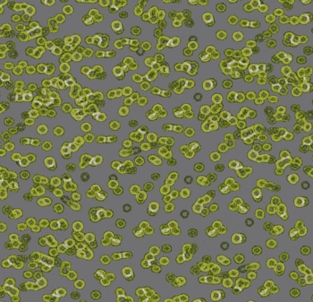 Wykładzina dywanowe FORBO 990302 Bacteria Flotex Z Nadrukiem Cyfrowym - Rolka - 4.3  mm
