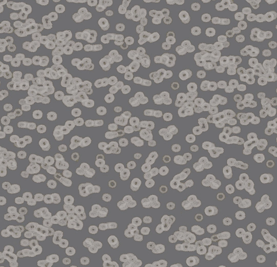 9cf253cf93c15dcb470061d0111b8316
